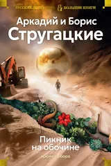 Пикник на обочине