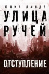 Обложка «Улица Ручей. Т. II. Отступление.»