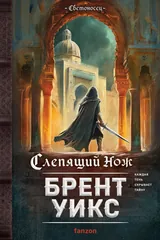 Обложка Слепящий нож