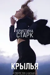 Обложка «Крылья»