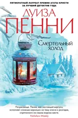 Обложка Смертельный холод