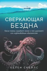 Обложка Сверкающая бездна. Какие тайны скрывает океан и что угрожает его глубоководным обитателям