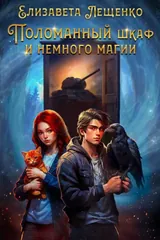 Обложка Поломанный шкаф и немного магии