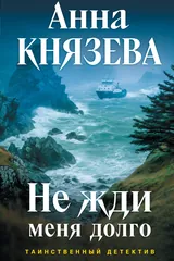 Обложка Не жди меня долго