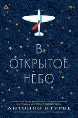 Обложка В открытое небо [основано на жизни писателя и летчика Антуана де Сент-Экзюпери]