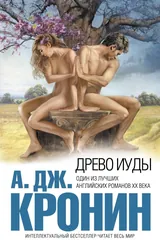 Обложка «Древо Иуды»