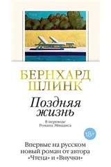 Обложка Поздняя жизнь