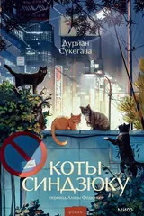 Обложка «Коты Синдзюку»