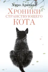 Обложка Хроники странствующего кота