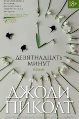 Обложка Девятнадцать минут