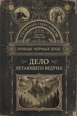 Обложка «Дело летающего ведуна»