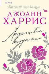 Обложка Леденцовые туфельки