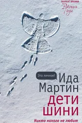 Обложка Дети Шини