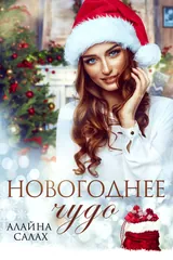 Обложка Новогоднее чудо