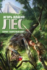 Обложка Лес