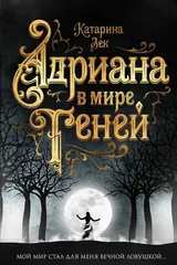 Обложка «Адриана в мире теней»