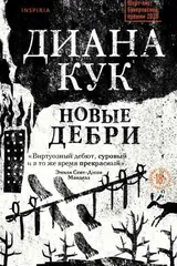 Обложка Новые дебри