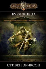 Обложка «Буря жнеца Том 1»