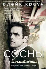 Обложка «Заплутавшие»