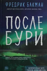 Обложка После бури