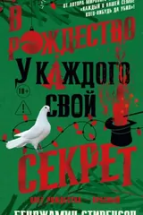 Обложка В рождество у каждого свой секрет