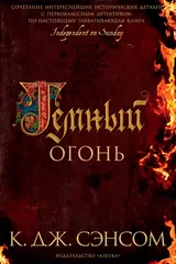 Обложка Тёмный огонь