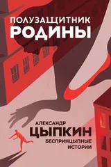Обложка «Полузащитник Родины. БеспринцЫпные истории»