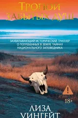 Обложка Тропой забытых душ