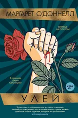 Обложка «Улей»