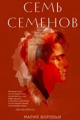 Обложка Семь Семенов