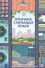 Обложка Прачечная, стирающая печали