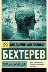Обложка Феномены мозга