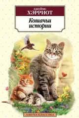 Обложка Кошачьи истории