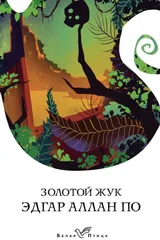 Обложка «Золотой жук»