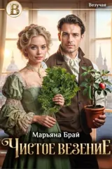 Обложка Чистое везение