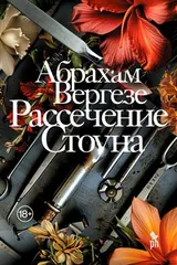 Обложка Рассечение Стоуна