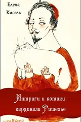 Обложка «Интриги и котики кардинала Ришелье»
