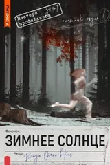 Обложка Зимнее солнце