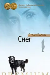 Обложка Снег