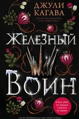 Обложка Железный воин