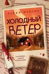 Обложка Холодный ветер