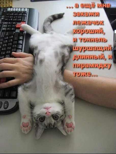 Как такому откажешь...
