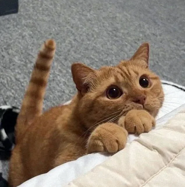 А что ты там такое моё ешь?