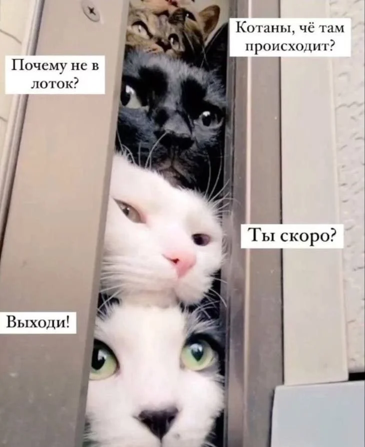 — Можно войти? — Уже входите, блин...
