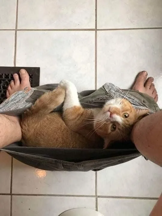 — Ты занят? Я тут устроюсь, не против?— А у меня есть выбор?