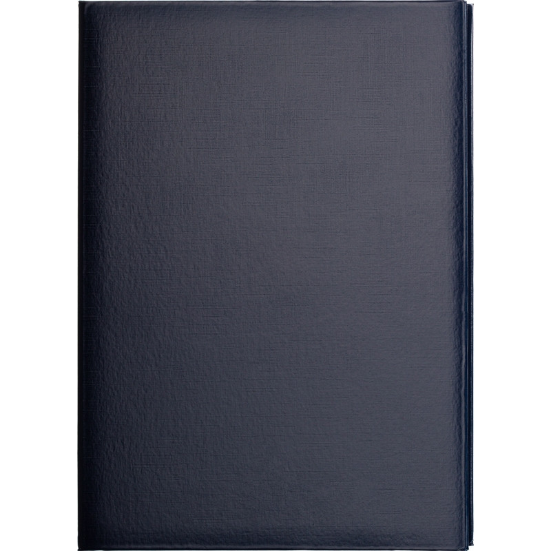 Папка адресная без тиснения бумвинил с поролоном синяя