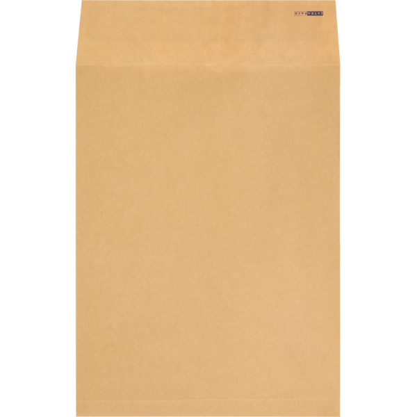 Пакет крафт E4 стрип Largepack300х400х40 120г 200шт/уп/6326