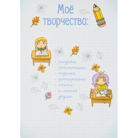 Портфолио папка Портфолио школьника ламинир.картон