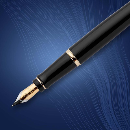 Ручка перьевая WATERMAN EXPERT S0951640 черн. корп, син чернила 0,5мм Франц