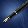 Ручка перьевая WATERMAN EXPERT S0951640 черн. корп, син чернила 0,5мм Франц